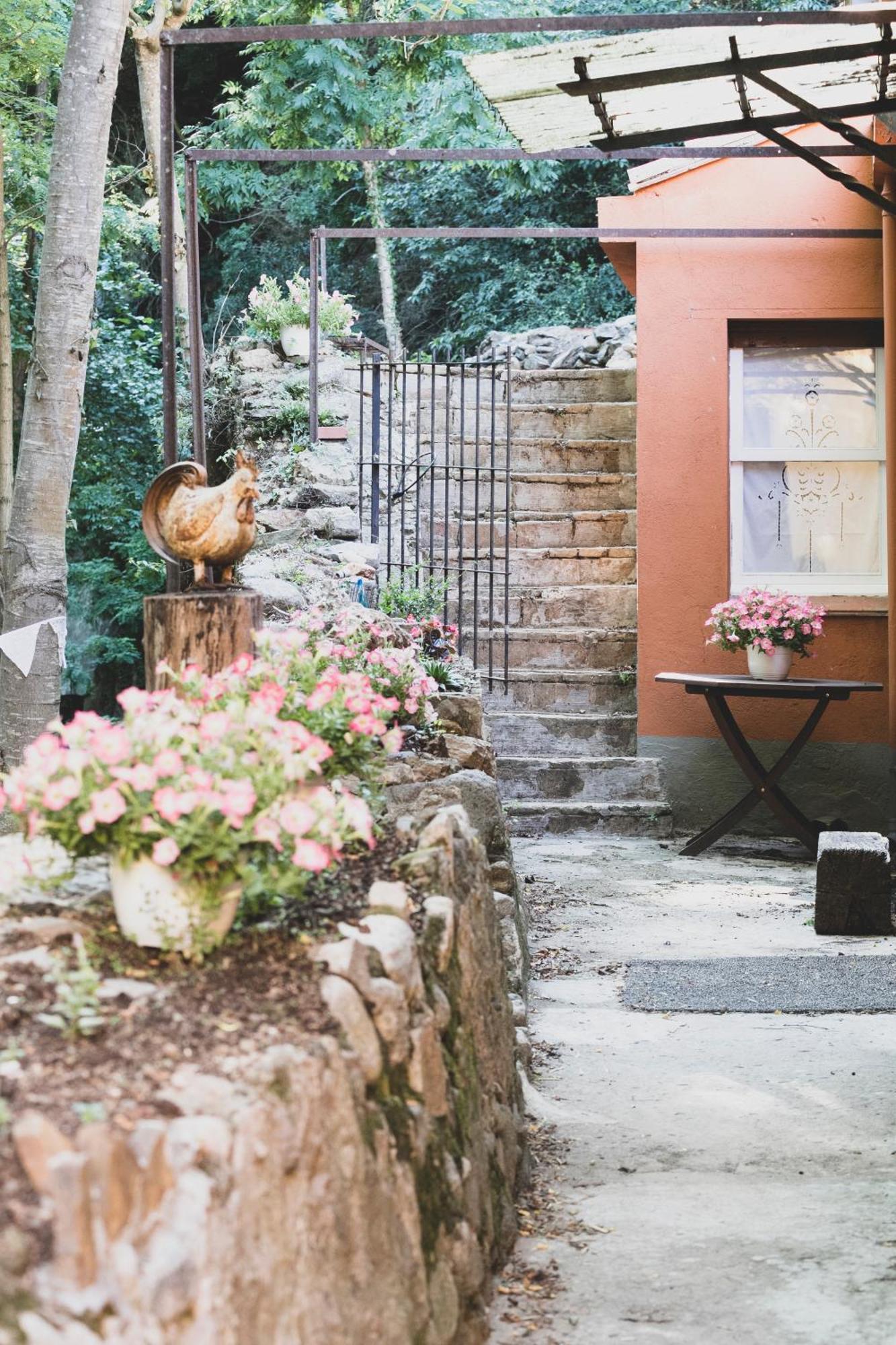 Holiday Home Can Clerc Osor 외부 사진